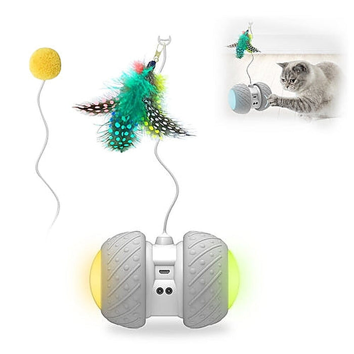 Toys & Enrichment