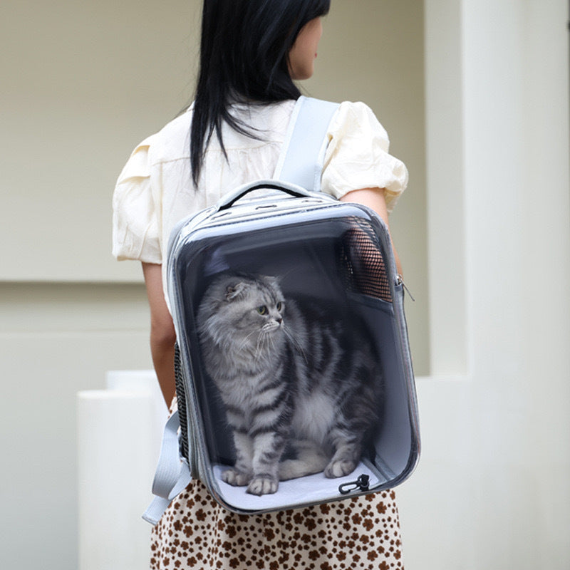 487f32433398c4ec8bd2ea1d690b4a2a